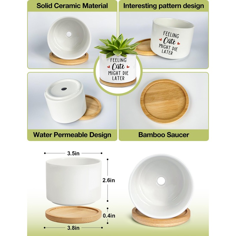 PWHINGN Feeling Cute Might Die Later Pot- Ceramic Engraved Succulent