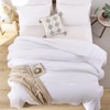 ROSGONIA Comforter Full Size for Girls Boys Teens White, 3pcs