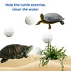 PurrrfectionPet Turtles Shell Scrub Brush and 4Pcs Nitrifying Balls, Turtle