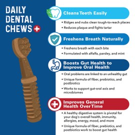 Bernie's Charming Chompers - Daily Dental Chews for Dogs 50-100 Lbs. - 24 Count - Cleans Teeth, Freshens Breath, + Boosts Oral-Gut Microbiome. Easy to Digest, Supports Healthy Digestion Naturally