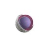 Titleist 2025 Pro V1x Golf Balls, White (One Dozen)