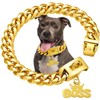 Gold Dog Collar Chain with Pendant Tag,Stainless Steel Walking Metal