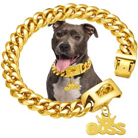 Gold Dog Collar Chain with Pendant Tag,Stainless Steel Walking Metal Chains Collars,19MM Wide,Heavy Duty Cuban Link Strong Chew Proof for Medium Large Dogs(14inch)