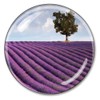 Lavender Paperweight Crystal 3 Inches