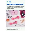 NutriChem NutriStrength: A 6-Week Foundational Strength Training Program