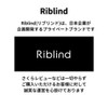 Riblind Bicycle Kickstand Bicycle Stand Adjustable Length 2-Point Fixed Easy
