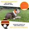 ADITYNA Heavy Duty Dog Collar for Extra-Large Dogs - Reflective