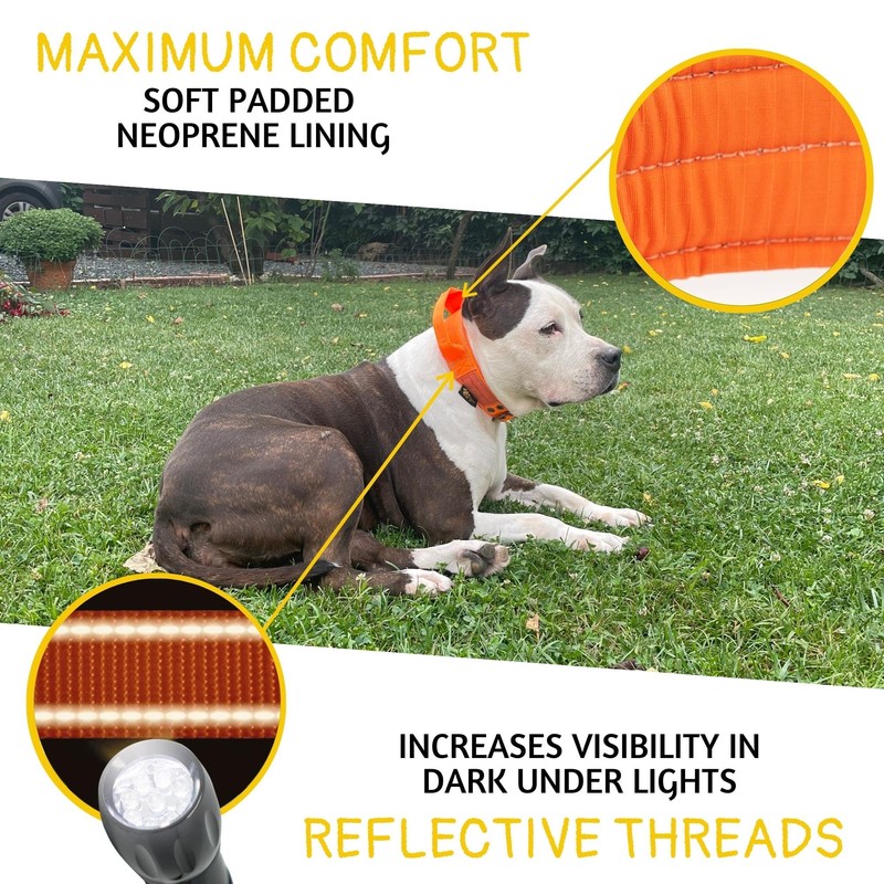 ADITYNA Heavy Duty Dog Collar for Extra-Large Dogs - Reflective