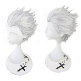 Heat-resistant kosupureuxiggu Castle In The ND Silver Fatestay Night 衛 vanishment 士郎 Archer Archer Events Wig + Bonus 2 Piece
