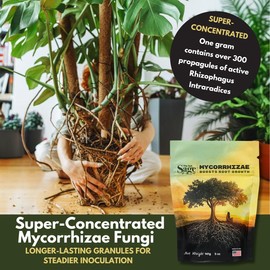 The Soil Sage Mycorrhizae Inoculant Powder, 10 oz, 300+ Spores/g Mycorrhizal Fungi, Root Stimulator for Transplanting, Vegetables, Trees & Flowers, Made in USA