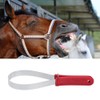 Horse Brushes for Grooming, Stainless Steel Shedder Scraper Tool Single