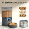 Bufferzone All-in-One Automatic Cat Feeder and Water Fountain, Combo for