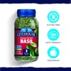 Litehouse Freeze Dried Basil (8 grams) 1 Bottle