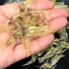 10 Pcs 4cm Simulation Fake Bait Grass Shrimp Lures Soft