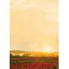 Nature Design Paper Golden Autumn Design Paper 20 Sheets Letter Paper DIN A4 90 g/m²