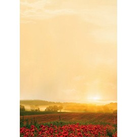 Nature Design Paper Golden Autumn Design Paper 20 Sheets Letter Paper DIN A4 90 g/m²