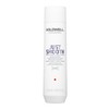 Goldwell Dualsenses Just Smooth Taming Shampoo 300ml