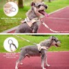 BEAUTYZOO No Pull Small Dog Harness and Leash Set for