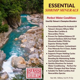 Rare Shrimp GH/TDS Remineralizer 500mL – Shrimp Tank Accessories for Neocaridina & Caridina | Professional GH TDS Additive | Shrimp Minerals, Molting & Breeding Support | Freshwater Aquarium Use