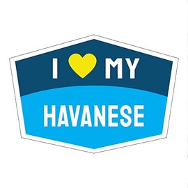 Imagine This Company I Love My Breed Hexagon Shaped Pet Magnet; Removable Magnets for Cars, Fridges, Lockers & More, Stylish Pet Inspired Car Accessories, 3.75 x 5,75 inches, 1 Item, Blue, Havanese