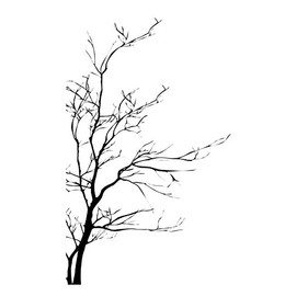 Stickerbrand Nature Vinyl Wall Art Bare Tree Branch Wall Decal Sticker - Black, 72" x 42". Easy to Apply & Removable.
