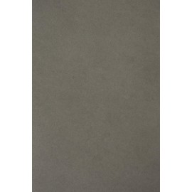 Netuno 100 Sheets Coloured Paper Anthracite Grey DIN A4 210 × 297 mm 115 g Sirio Colour Anthracite Craft Paper Printable Colourful A4 Clay Drawing Paper Coloured for Crafts Printing Drawing