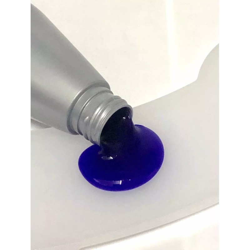 Salerm Shampoo Color Platino 250 Ml
