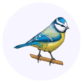 24 x 40mm Round 'Blue Tit' Stickers (SK00055987)