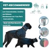 2Pcs Collar para Perro,Collar Impermeable, Cuello Ajustable,para Perro Chico,para medianos,