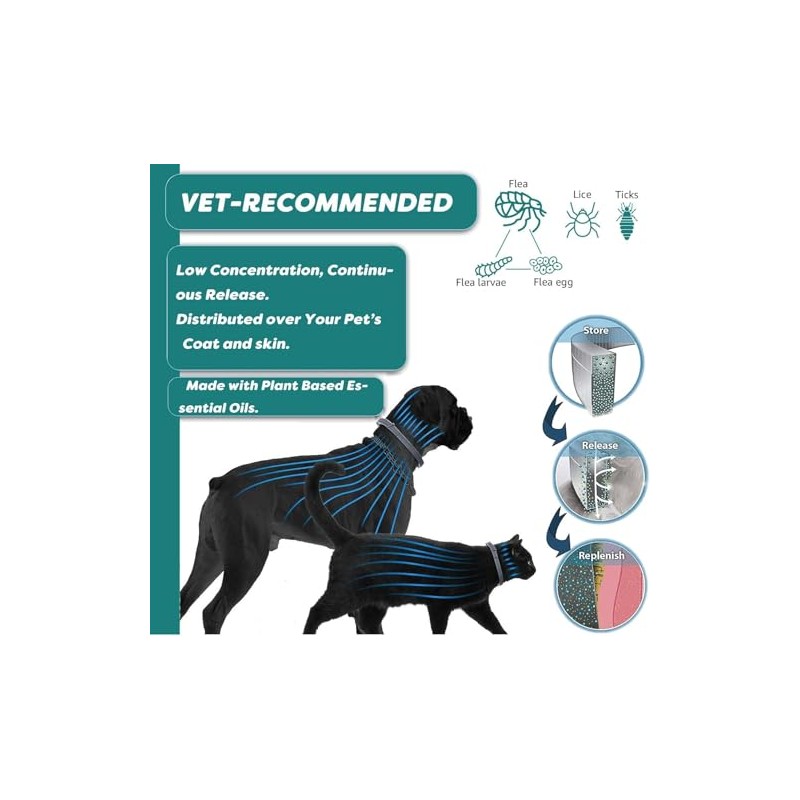 2Pcs Collar para Perro,Collar Impermeable, Cuello Ajustable,para Perro Chico,para medianos,