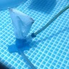Swimming Pool Cleaner Set Vacuum Suction Head Pool Cleaning and