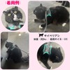 Lunali Ultra Small Dog Cat Harness Leash Set of 2