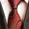 CHROME CRANE NR005 Men's Paisley Pattern Necktie, Solid Suit, Business,