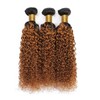 Leruikair Human Hair Bundles 14 16 18 Inch Jerry Curly