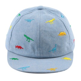 Pesaat Dinosaur Boys Girls Caps Embroidery Fashion Baby Baseball Caps Cotton Infant Toddler Kids Hat Spring Summer Autumn 6M-4Y (1-2 Years, Sky Blue)