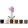 3D Vase Cloe Orchid Pot Herb Pot Planter Shatterproof Sustainable