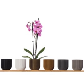 3D Vase Cloe Orchid Pot Herb Pot Planter Shatterproof Sustainable Waterproof (Black)