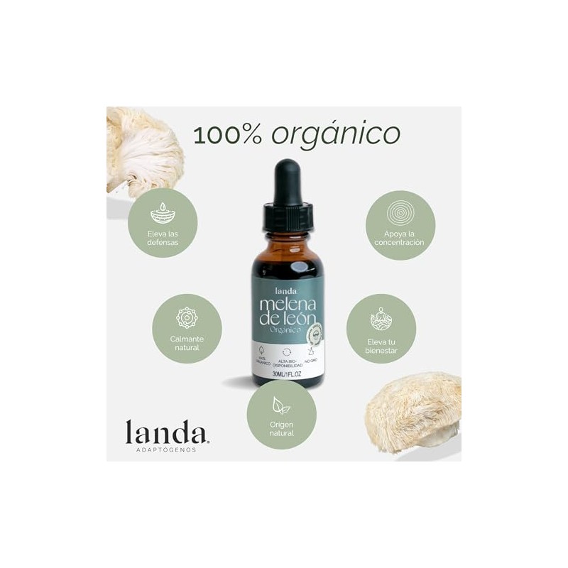 LANDA Extracto Liquido de Hongo Melena de León 30 ml