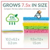 bioGo 30 Pack Compostable Pop-Up Sponges - Expanding, Non-Scratch, Plant-Based