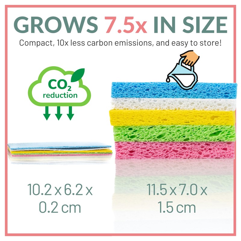 bioGo 30 Pack Compostable Pop-Up Sponges - Expanding, Non-Scratch, Plant-Based