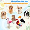 4-Pack Durable Squeaky Dog Toys for Small to Large Dogs