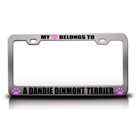 My Heart Belongs to A Dandie Dinmont Terrier Pet Cats Dogs Metal License Plate Frame Style 3 Chrome