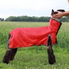 Cool Tech Sheep Blanket Red Medium 115lbs-150lbsI