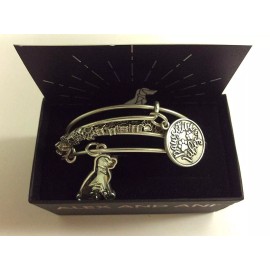 Alex and Ani Pawsitive Vibes Set of 3 Bangle Bracelet Rafaelian Silver NWTBC