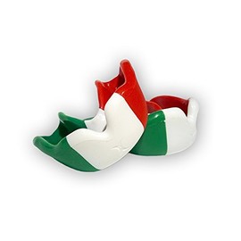 Gilbert Junior Rugby Mouth Guard – Italian Country Colours