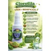 Clorofila Líquida El Fruty Súper Concentrada 500ml Natural