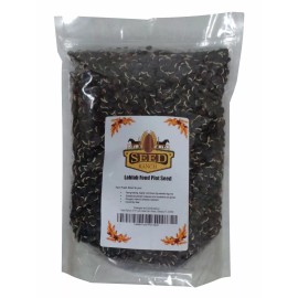 SeedRanch LabLab Food Plot Seeds - 2 Lbs.