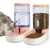 Automatic Dog Cat Feeder and Water Dispenser Gravity Food Feeder