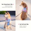 PHOEPET No Pull Dog Vest Harness with Unique Colors，Adjustable Reflective