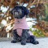Huskimo Peak Dog Waterproof Raincoat, Dusty Pink, 73cm